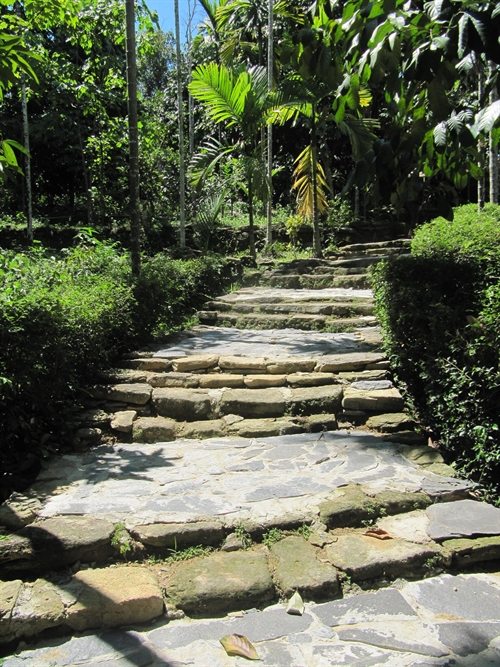 In touch with nature: The entrance to an ancient house is paved with stones and two rows of green trees on each side. VNS Photo Công Thành