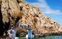 Cham Islands promote swallows' nests