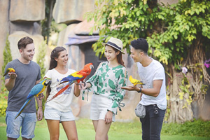 Domestic or foreign travel: What's your choice?