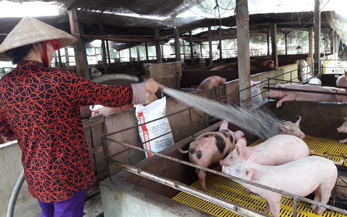MARD urges husbandry firms to save pig farms