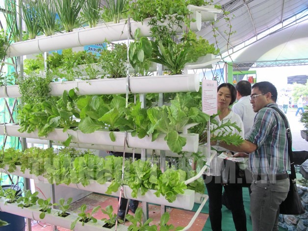 Seeds fair opens in HCM City - Economy - Vietnam News ...
