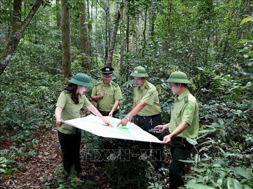 VN to boost tourism development in protective special-use forests