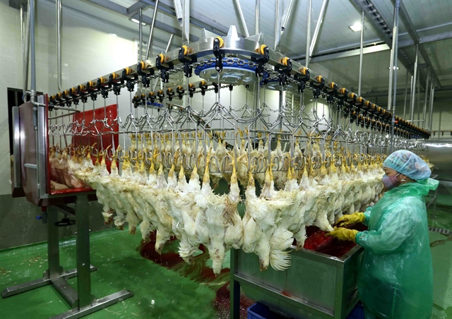 Poultry industry needed to further develop
