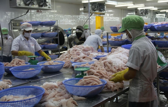 Tra fish industry needs to improve product quality