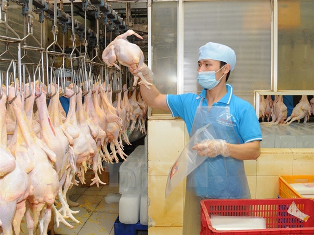 High supply gives Việt Nam's poultry firms chance to reach export markets