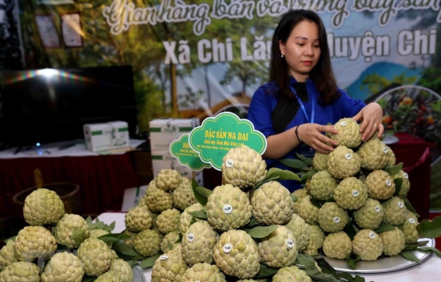 Chi Lăng custard-apple promoted in Hà Nội