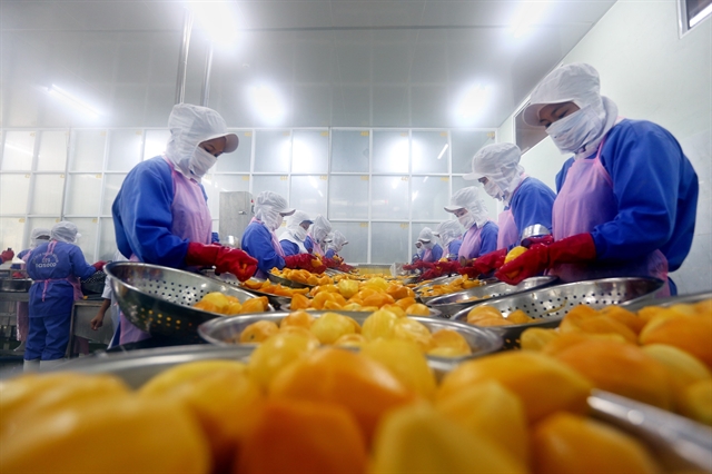 Việt Nam calls for investment in fruit and vegetable processing