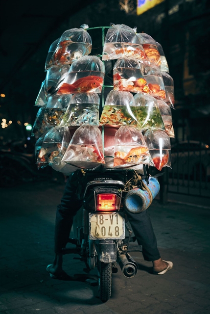 Photo of Vietnamese fish seller wins prestigious American photo contest
