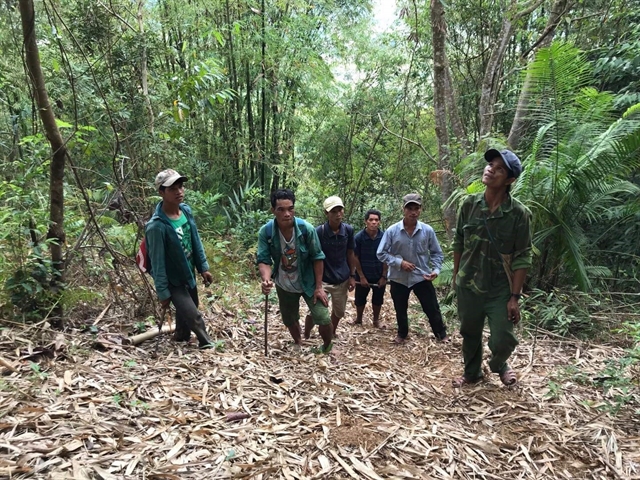Local communities lend a hand to forest protection