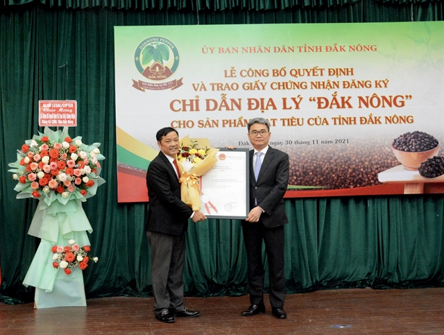 Đắk Nông receives geographical indication for locally grown pepper