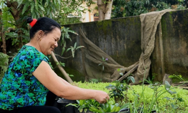 Local farmers use biological products to limit the use of pesticides in Hà Tĩnh