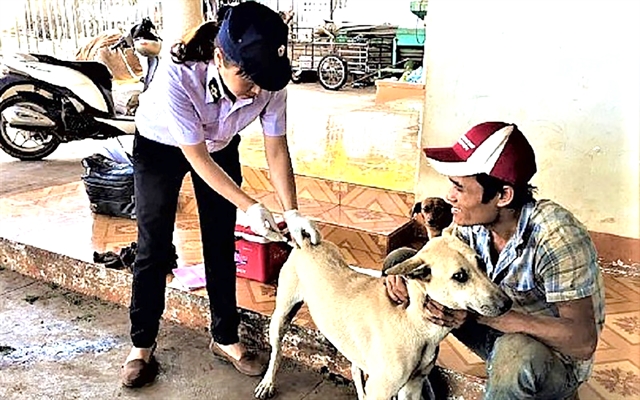 Rabies deaths a concern for Đắk Lắk residents