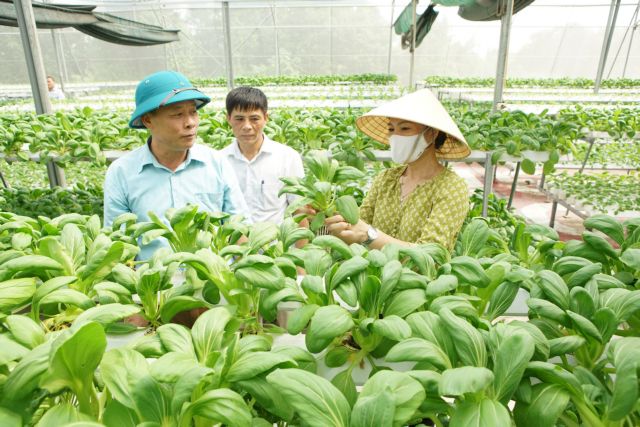 Hà Nội focuses on food safety as summer nears
