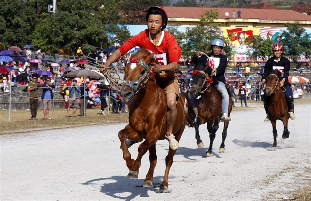 Lào Cais traditional horse racing gets national heritage status
