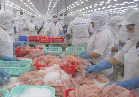 Việt Nam expects US1.7 billion in tra fish exports in 2022