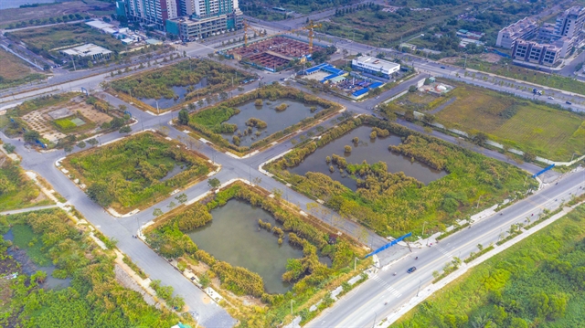 No credit granted to four Thủ Thiêm land auction winners