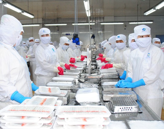 Mekong Delta seafood exports boom despite pandemic