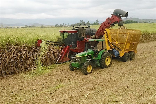 Vietnamese sugar failing to compete on home ground