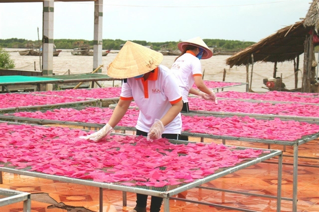Cà Mau one commune - one product makers enter busy Tết season
