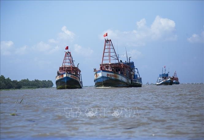 Việt Nams border guards take tougher actions against IUU fishing