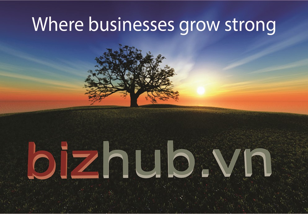 http://bizhub.vn/
