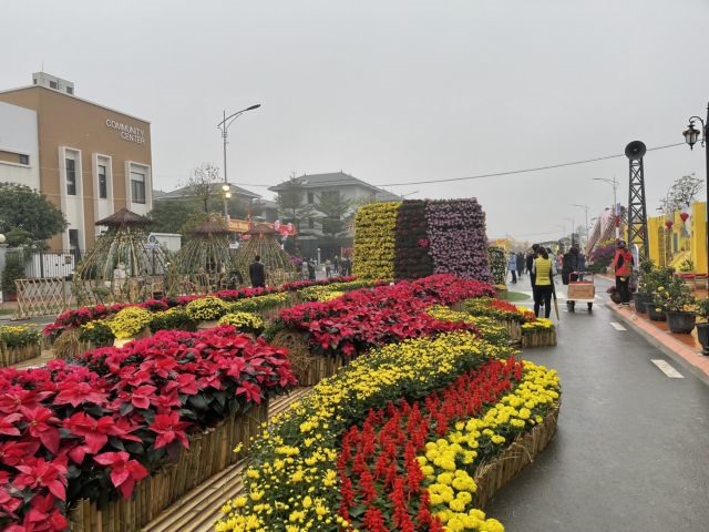 New pedestrian and flower streets open in Hà Nội
