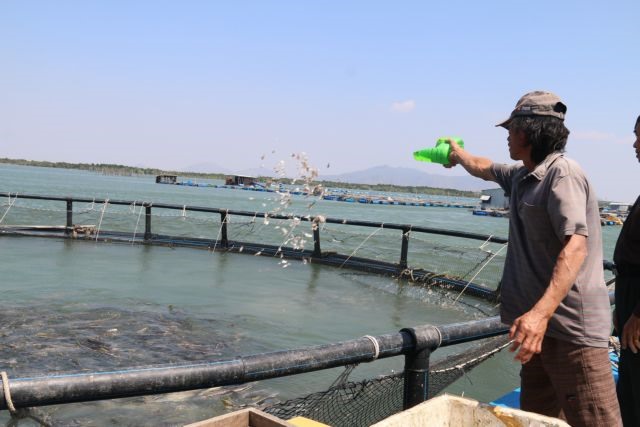 Việt Nam begins to realise marine aquaculture potential