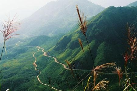 Hoang Lien National Park covers an area of nearly 30,000ha, spreading across six upland communes of Lao Cai Province Hoang Lien National Park covers an area of nearly 30,000ha, spreading across six upland communes of Lao Cai Province's Sa Pa District and Lai Chau Province's Than Uyen District.