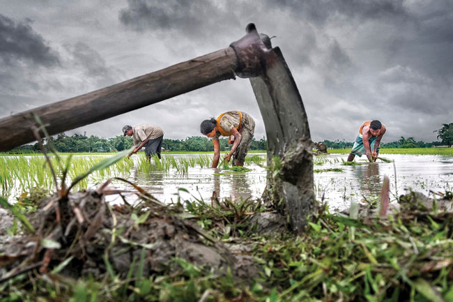 VN photographers scoop up prizes at international contest