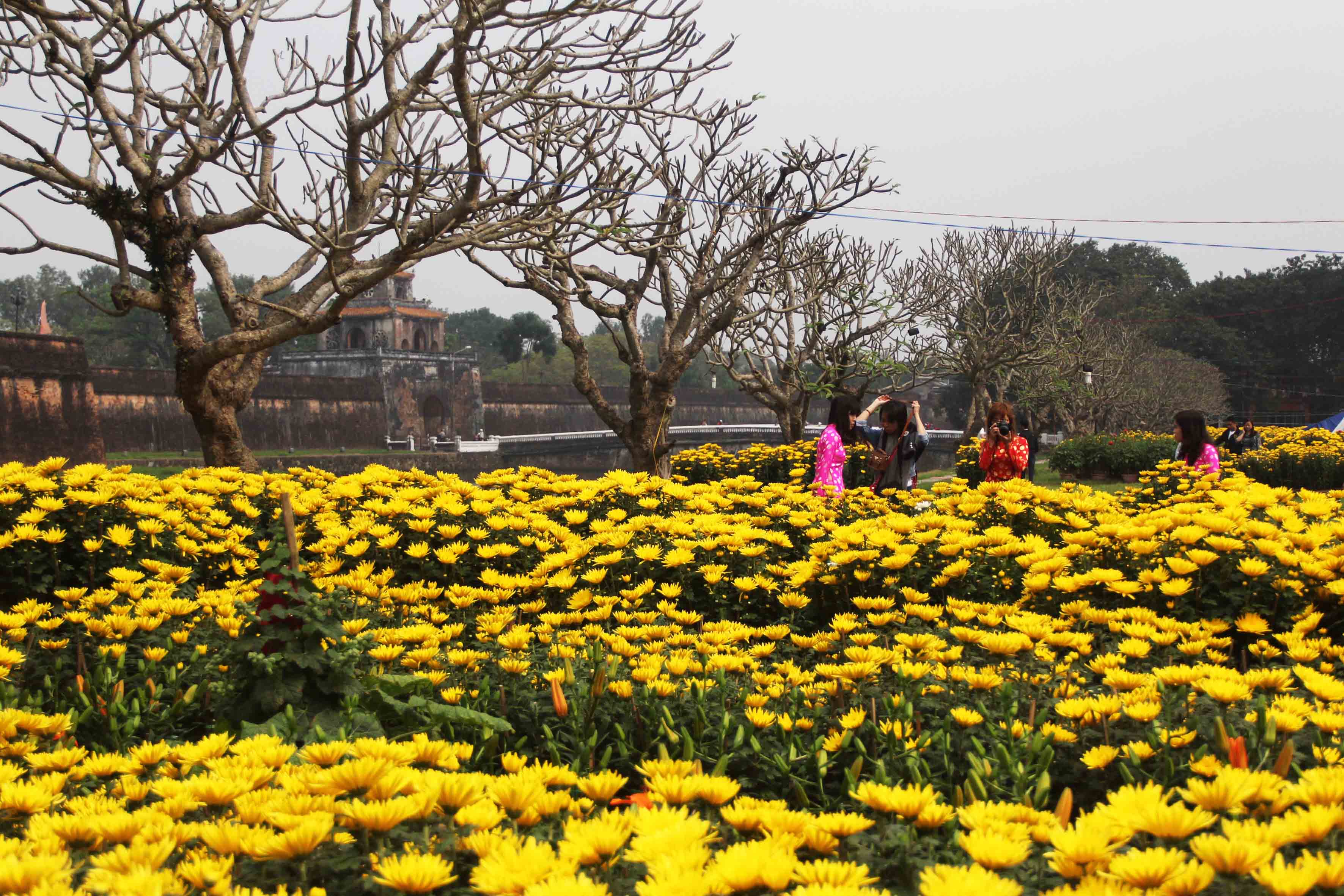 Hue comes alive with colourful flowers and crowds Society Vietnam