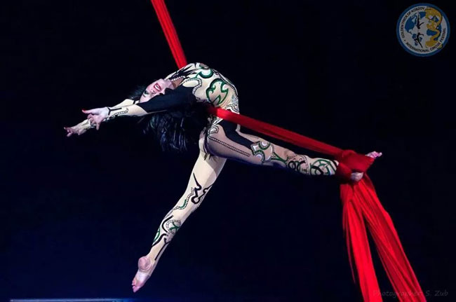 Circus troupe to launch VN tour