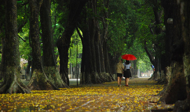 Tree-huggers inspire new documentary