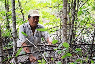 Man spends 20 years to conquer forest