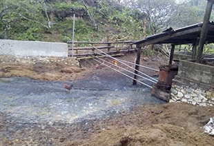 Arrowroot firms polluting Sơn La water sources