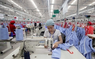 GSO surveys firms on performance