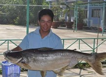 A shelter where rare fish species thrive