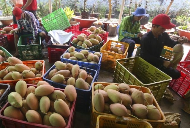 Việt Nam’s farm produce exports to Australia surge