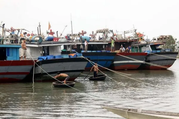 "Green ports" strategy transforming fishing in Thừa Thiên Huế