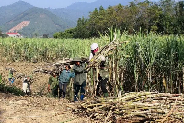 Over 1.9 million households still struggle with poverty: Ministry