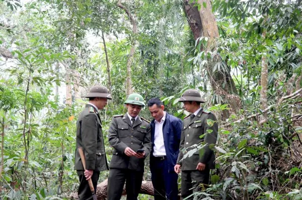 Preserving forests is everyone's business in Tuyên Quang