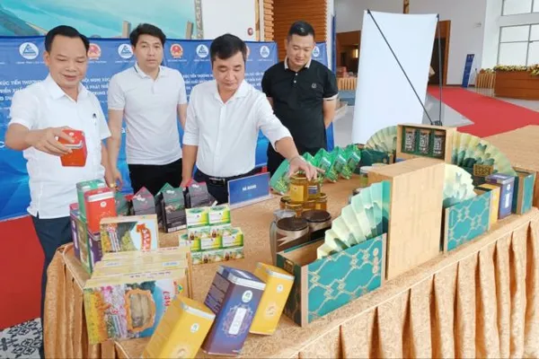Conference drives Northern Midlands and Mountains' trade expansion efforts - Vimarsana News
