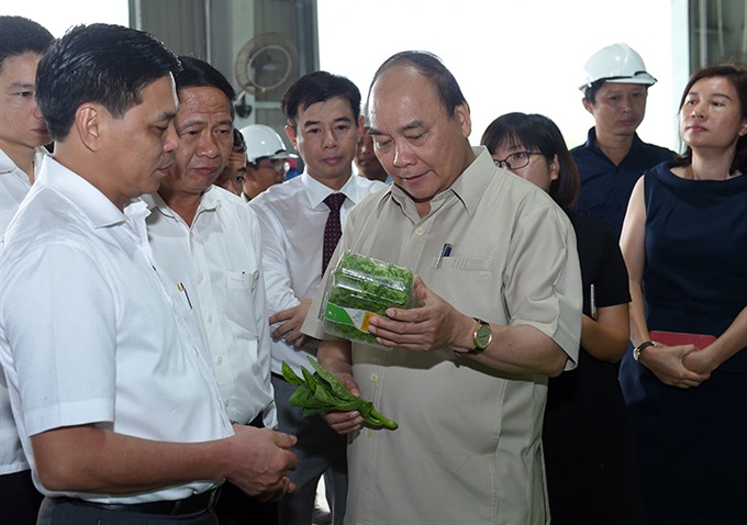 PM urges Vĩnh Bảo to soon become new