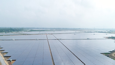 Wise steps in investing in renewable energy sector in Vietnam