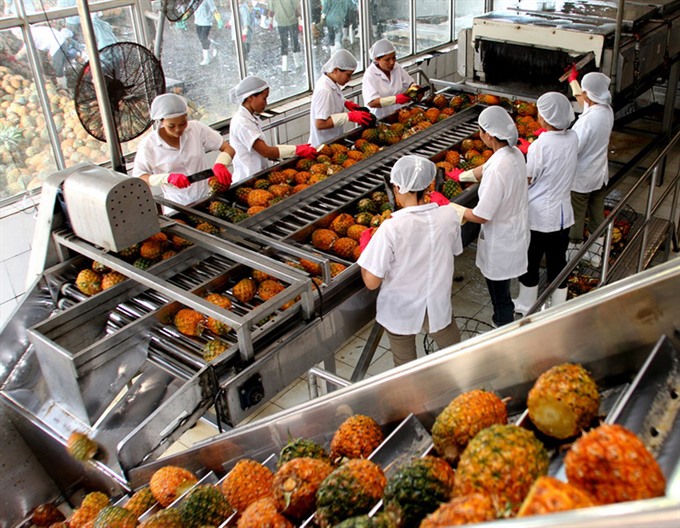 Vietnamese fruits need export support