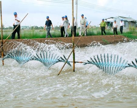 Bạc Liêu set to restructure fisheries sector