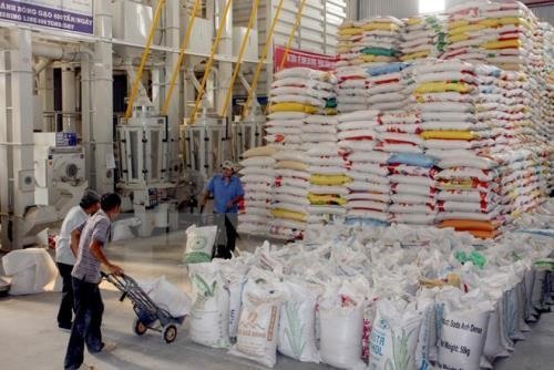 VietGap standards to merit national rice brand
