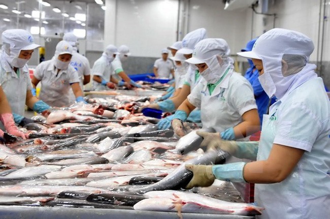 Tra fish fair to take place in October