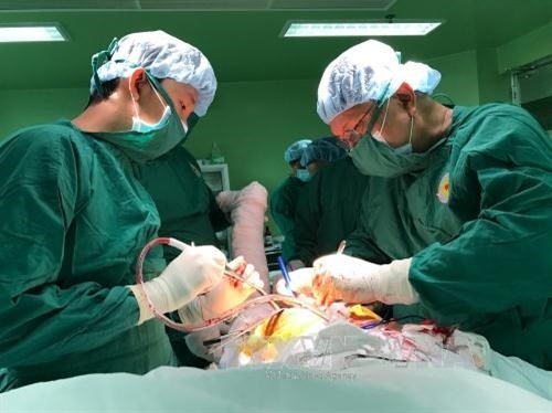 Hip replacement results improve in VN