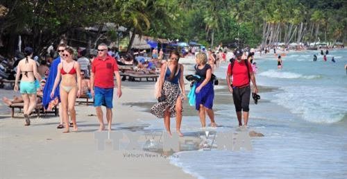 Beach tours popular this summer: travel firms