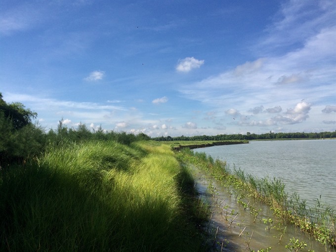 Hội An river dyke takes its cue from nature